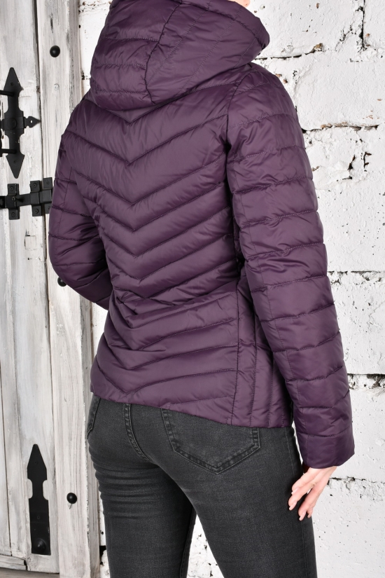 Куртка жіноча (кол. сливовий) з плащової тканини демісезонна "FINIBALL" Розмір в наявності : 46 арт.2023