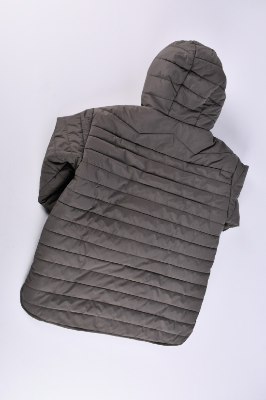 Куртка женская (цв.серый) из плащевки демисезонная "Saint Wish" Размеры в наличии : 54, 58 арт.7032