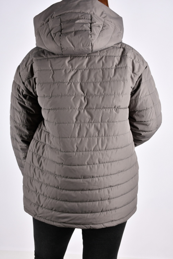 Куртка жіноча (кол. сірий) з плащової тканини демісезонна "Saint Wish" Розміри в наявності : 50, 52, 54, 56, 58 арт.7031