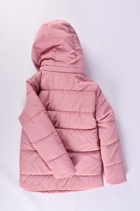 Куртка для девочки (цв.пудры) демисезонная из плащёвки Рост в наличии : 128, 134, 140, 152 арт.05