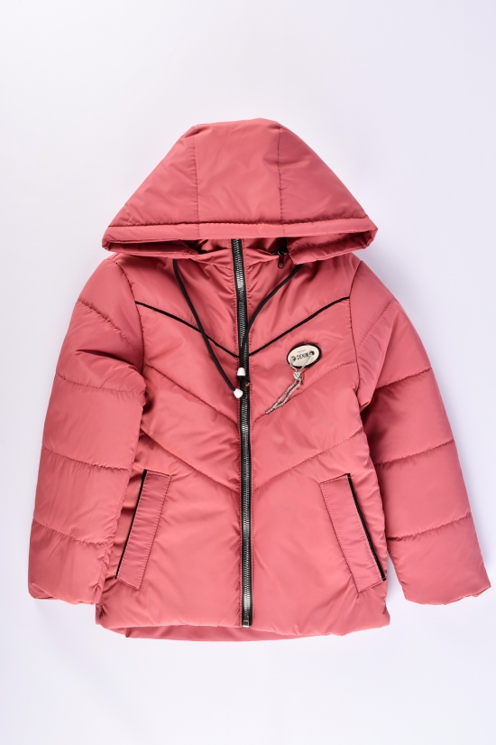 Куртка для девочки (цв.терракотовый) демисезонная из плащёвки Рост в наличии : 128, 134, 146, 152 арт.05