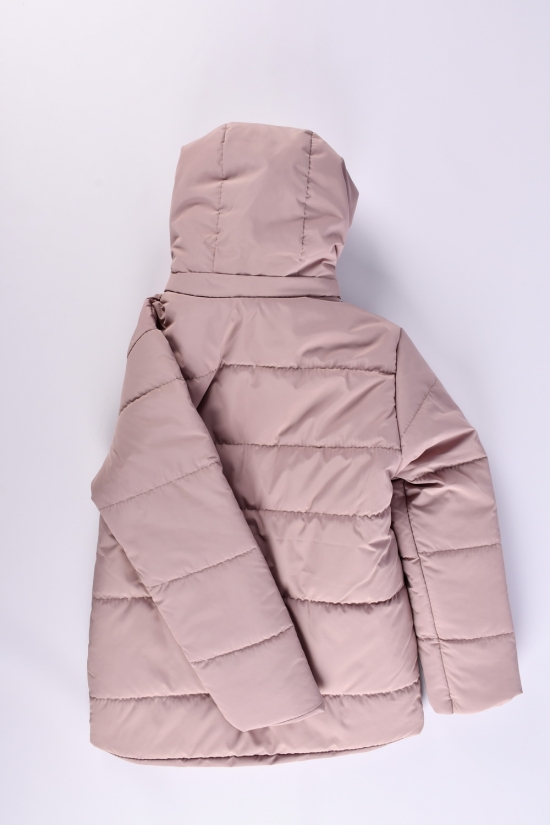 Куртка для девочки (цв.латте) демисезонная из плащёвки Рост в наличии : 152 арт.05