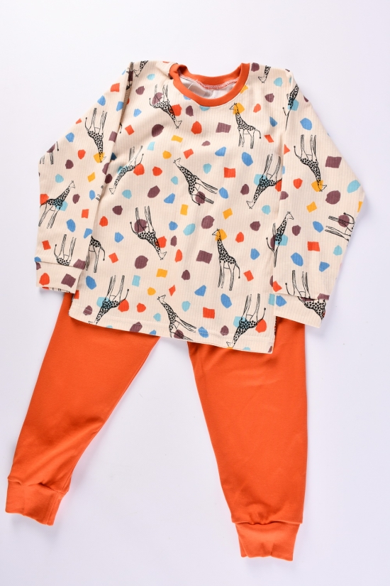 Пижама детская (цв.латте) (ткань интерлок) размер 110-116 арт.228334