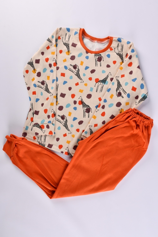 Пижама детская (цв. латте) (ткань интерлок) размер 128-134 арт.228334