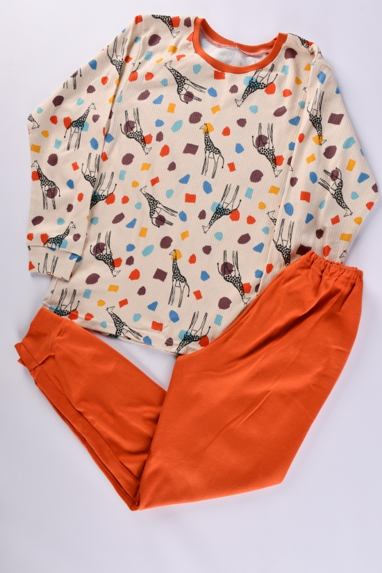 Пижама для мальчика (цв.латте) (ткань интерлок) размер 134-140 арт.228334