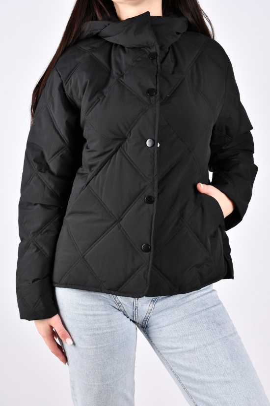 Куртка женская демисезонная (цв.черный) из плащевки Размеры в наличии : 46, 48 арт.1019