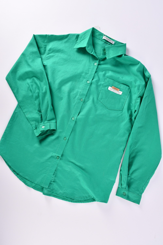 Рубашка женская (цв.зеленый) "QIANZHIDU" Размер в наличии : 44 арт.EC16352083