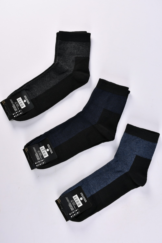 Шкарпетки чоловічі всесезонні розмір 41-45 (80% Cotton 15% Polyamide 5% Elastane) арт.кулир